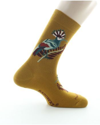 Dagobert - Chaussettes homme colibri